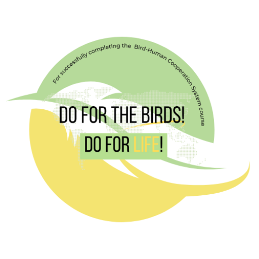 Gain a digital badge