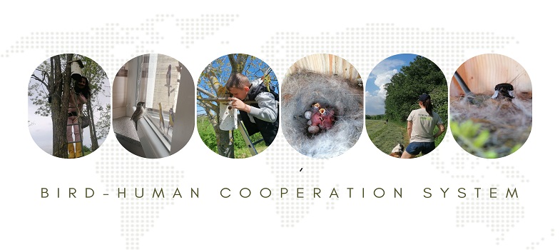 Bird-human cooperation systems