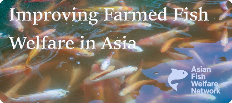 Improving Farmed Fish Welfare in Asia