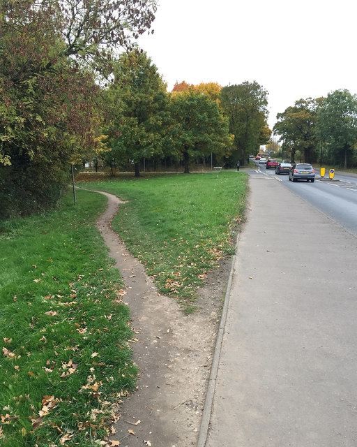 A photograph showing a worn path in a patch of grass where people have chosen to walk in order to shorten their route.