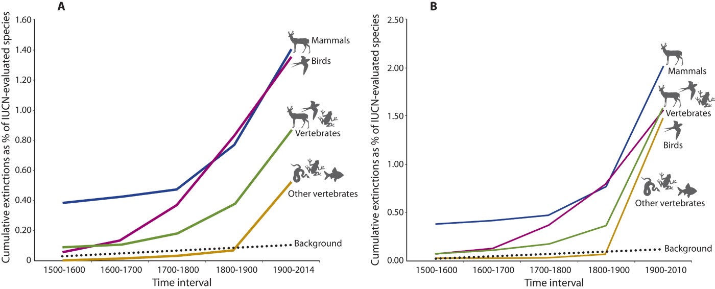 We can lose the living creatures of our Earth up to ten thousand times faster than the natural background extinction