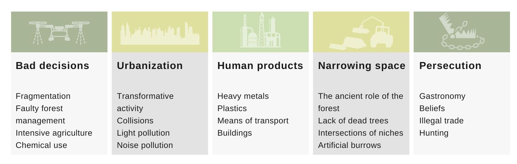 Our birds have to deal with all kinds of dangers every day