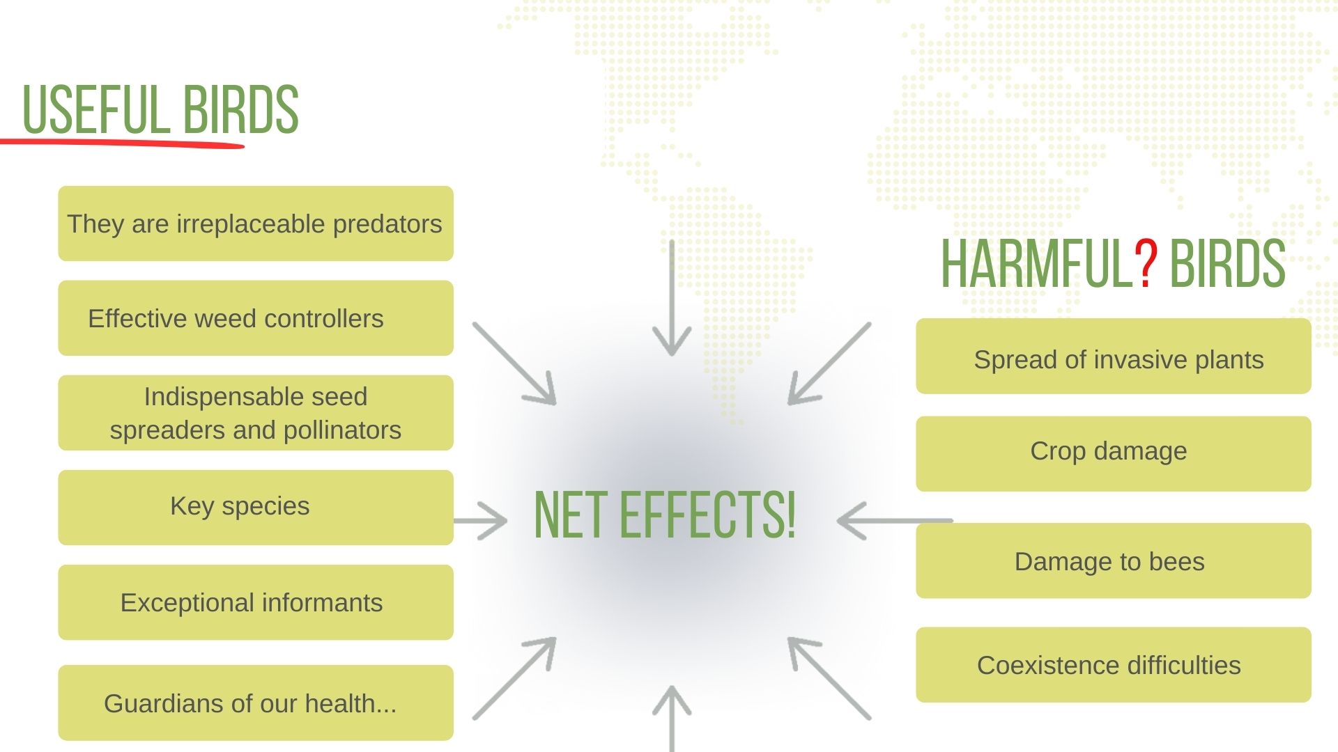 Birds in our life: beneficial or harmful?