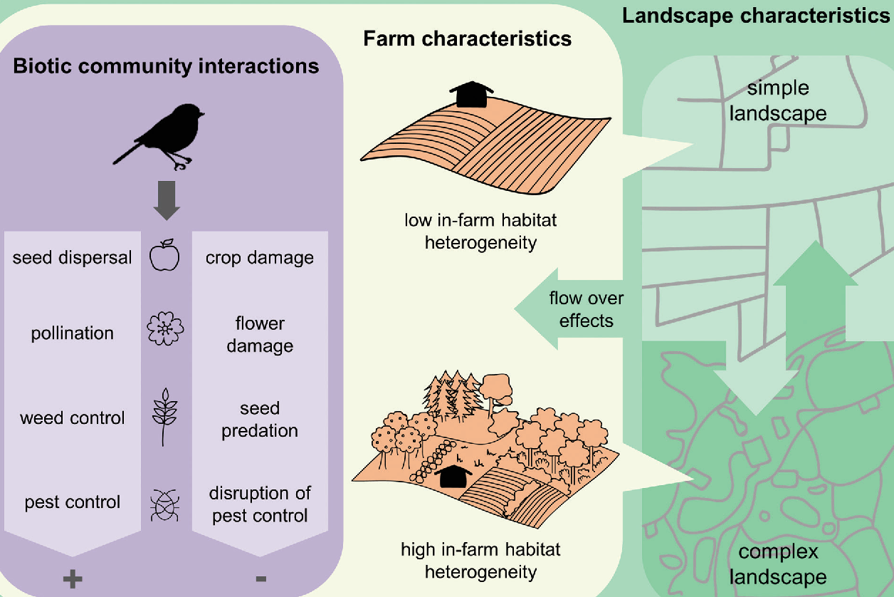 Birds are a net benefit to us