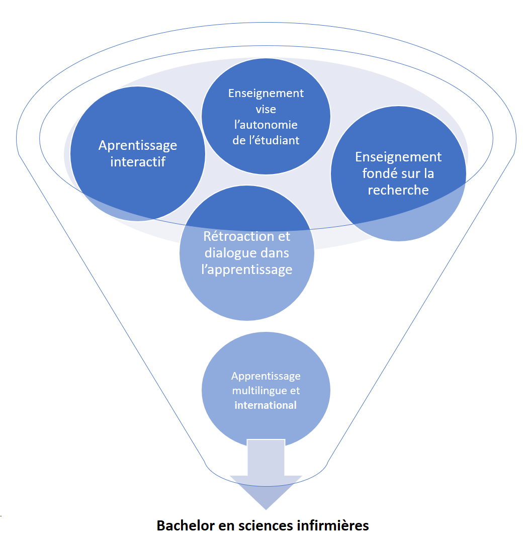 Image 02: Image représentant les ingrédients du bachelor
© Dominique Raum
Image crée avec Microsoft PowerPoint