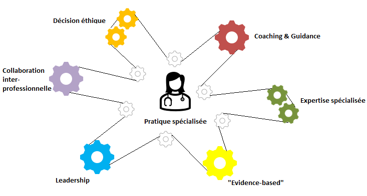 Image 05: Représentation 7 compétences selon Hamric & Hanson
© Dominique Raum
Image crée avec Microsoft PowerPoint
