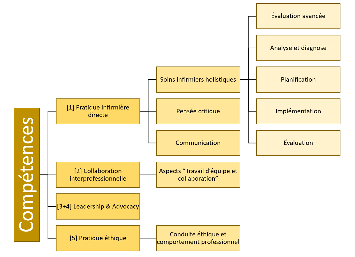 Image 09: Détails des compötences cliniques
© Dominique Raum
Image crée avec Microsoft PowerPoint