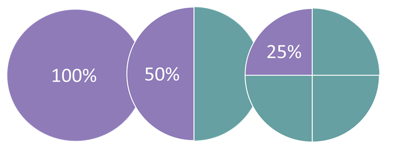 A whole circle is 100%, half of the circle is 50% and a quarter of the circle is 25%