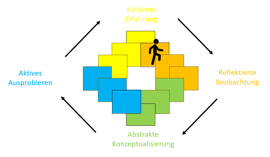 Bild 01 : Repräsentation vom Kolb Zyklus.
© Dominique Raum
Bild erstellt mit Microsoft PowerPoint