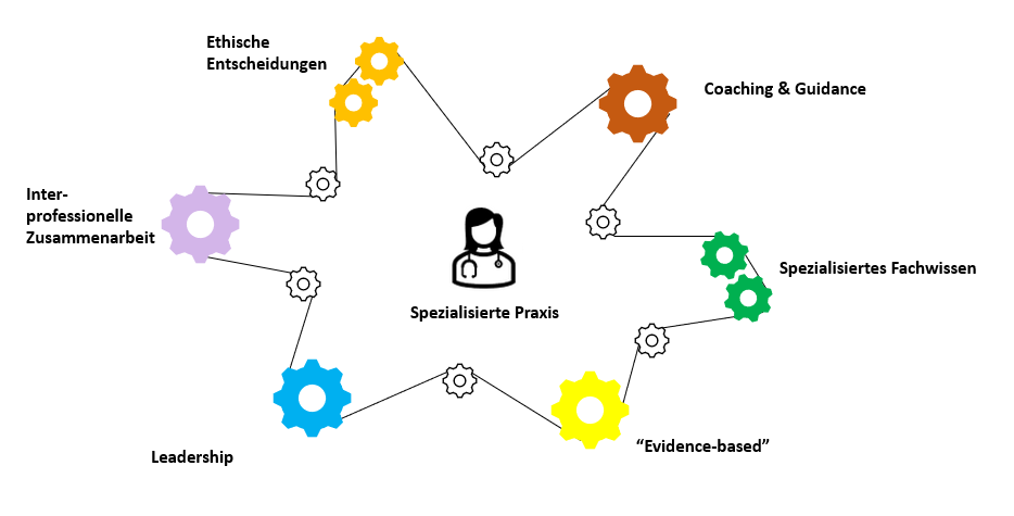 Bild 05: 7 Kompetenzen nach Hamric & Hanson
© Dominique Raum
Bild erstellt mit Microsoft PowerPoint