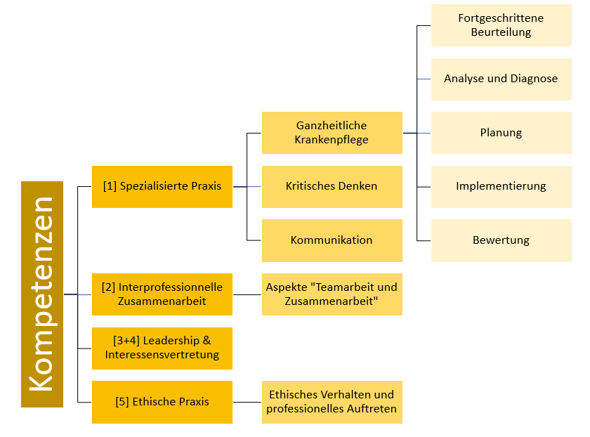 Bild 09: Details der klinischen Kompetenzem
© Dominique Raum
Bild erstellt mit Microsoft PowerPoint