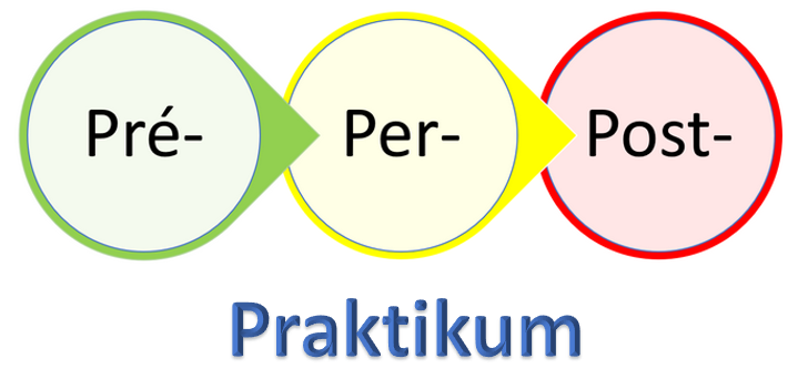 Bild 06 : 3 Phasen der klinischen Evaluierung.
© Dominique Raum
Bild erstellt mit Microsoft PowerPoint