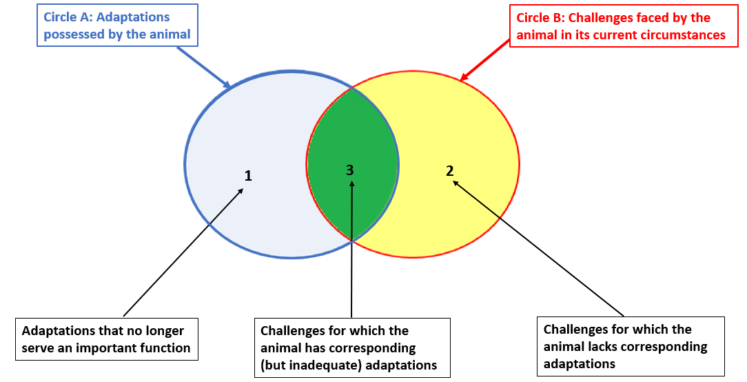 The diagram shows two coloured and overlapping circles with the first labelled "1", the second "2" and the area of overlap "3". The first circle represents the adaptations posessed by the animal and the second circle the challenges faced by the animal in its current circumstances. The area of overlap represents the challenges for which the animal has corresponding (but inadequate) adaptations. The remaining area in the first circle represent adaptations that no longer serve and important function, whilst the remaining area in the second circle represent challenges for which the animal lacks corresponding adaptations.