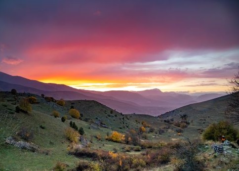 Introduction to Rewilding