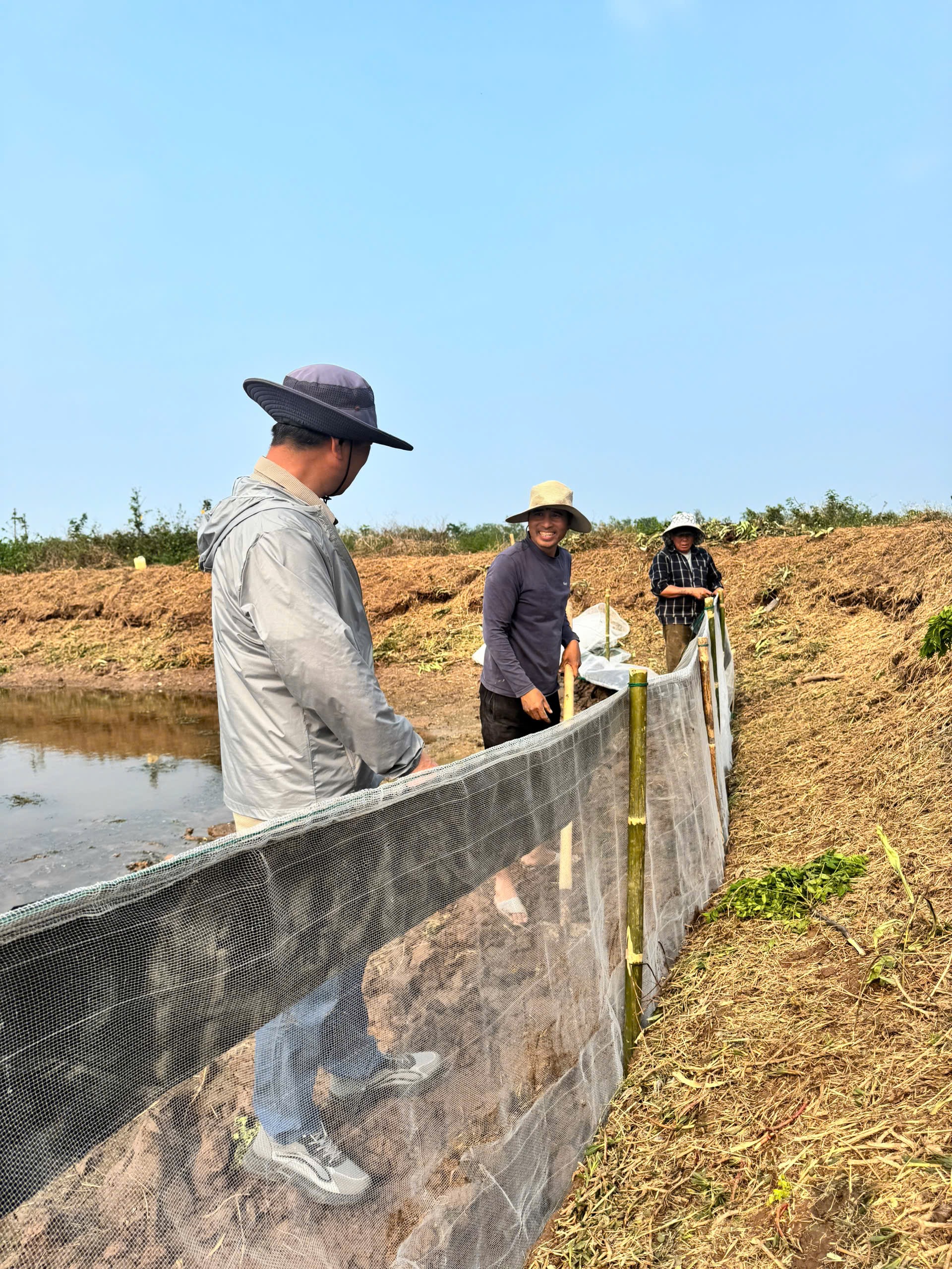 Photograph of constructing an anti-predator fence at an aquaculture pond in Vietnam. The fence uses fine mesh suspended from a wooden framework and mounted in the drained pond bank. 