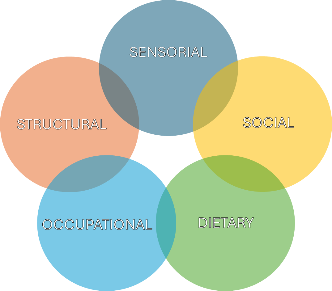 The image consists of five differently coloured and semi-transparent circles arranged in a pentagon shape so that they overlap each other slightly. Each circle has a single word as follows: Sensoral, social, dietary, occupational, and structural.