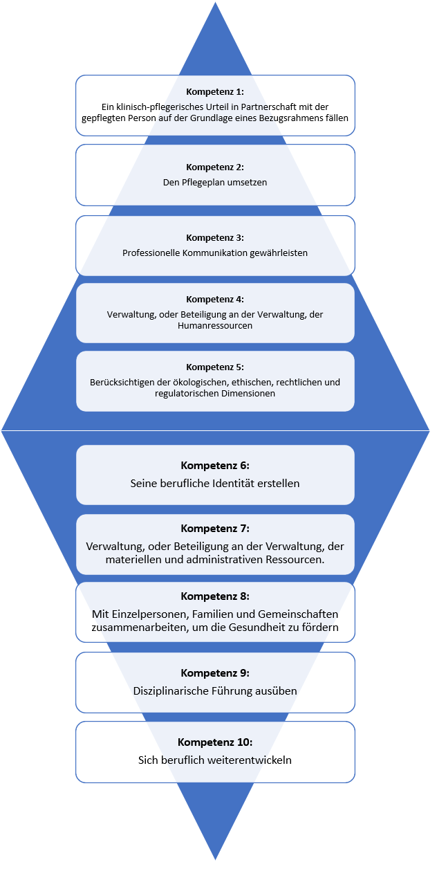 Bild 03 : 10 Kompetenzen des IRSG
© Dominique Raum
Bild erstellt mit Microsoft PowerPoint