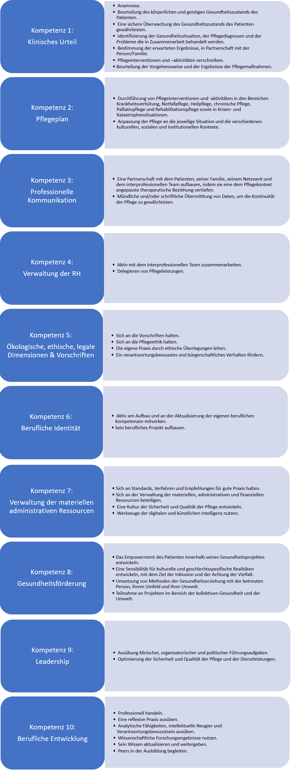 Bild 04: Inhalte der 10 Kompetenzen
© Dominique Raum
Bild erstellt mit Microsoft PowerPoint