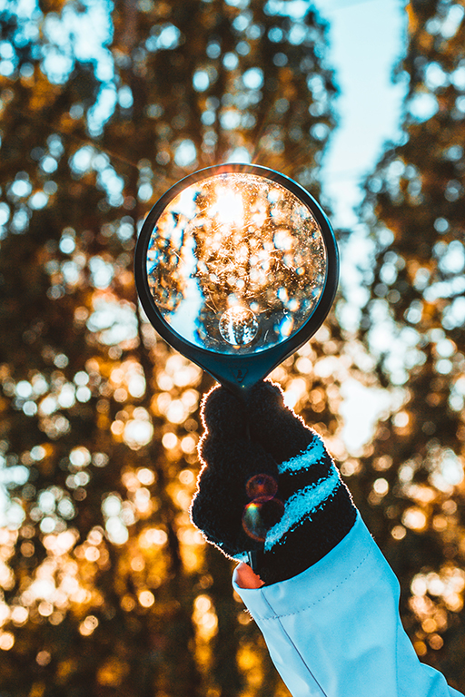 A photograph in which a large magnifying glass is held up to a sunny natural environment by a gloved hand.