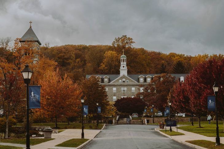 An autumnal photo of a fairly ornate large building surrounded by trees. Flags with identical logos line the access road.
