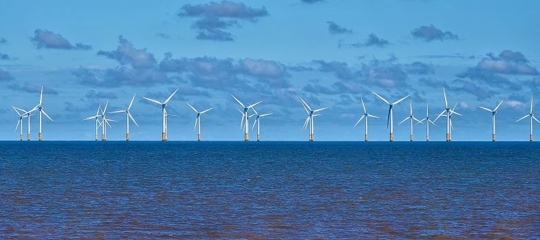 Energy information and critical literacy