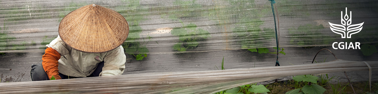 Seed quality management