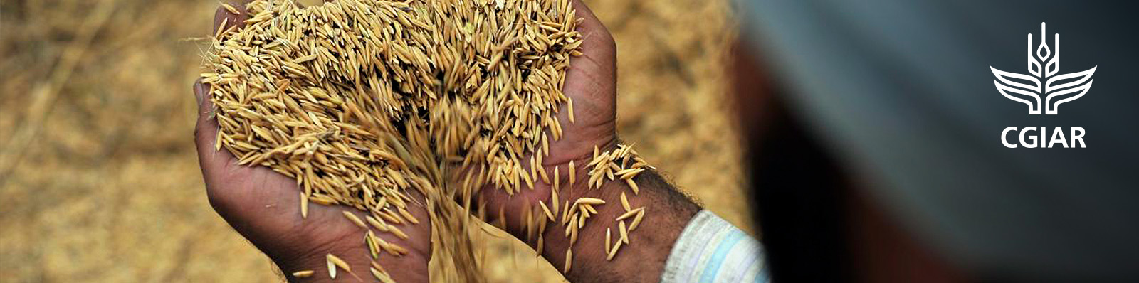 Genetic resources policies