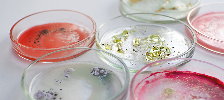 Isolating and identifying bacteria (human health) (2025)