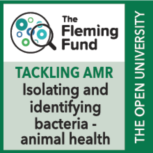 Gain a digital badge