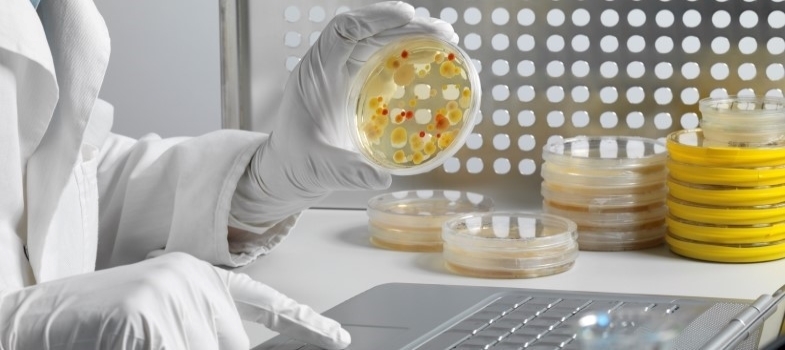 Sampling (animal health) (2025)