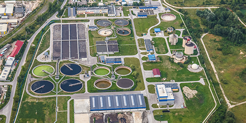 AMR in the environment (2025)