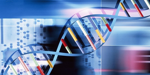 Whole genome sequencing in AMR surveillance (2025)