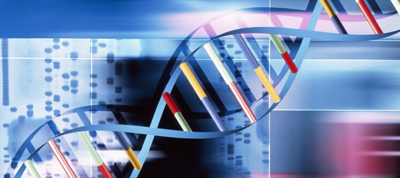 Whole genome sequencing in AMR surveillance (2025)