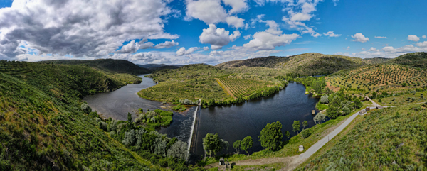 An aerial view of a winding river in the Greater Coa Valley, with a dam crossing the water.The river is surrounded by green vegetation, including a tree plantation on one side and natural shrubs on the other. Rolling hills stretch into the distance under a cloudy sky.