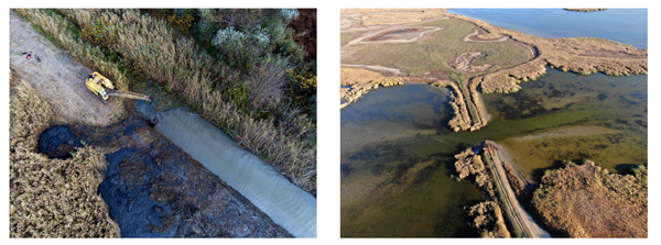 Left: An aerial view of a construction site near a water body. A yellow excavator is positioned on a dirt path, with its arm extended into the water, cleaning a water channel between the Danube River and Katlabuh Lake. The surrounding area is filled with dense vegetation and reeds. Two people are visible on the dirt path near the excavator, providing a sense of scale to the machinery and the environment. Right: An aerial view of the Danube Delta, showing the removal of a dam. The image features two large water bodies separated by a narrow strip of land with vegetation. The land has patches of grass and possibly some trails or paths. The scene highlights the contrast between the greenish water and the brownish land, as well as the visible patterns created by natural elements like vegetation and water flow. This dam removal is part of restoration efforts to improve water flow and ecological health in the area.