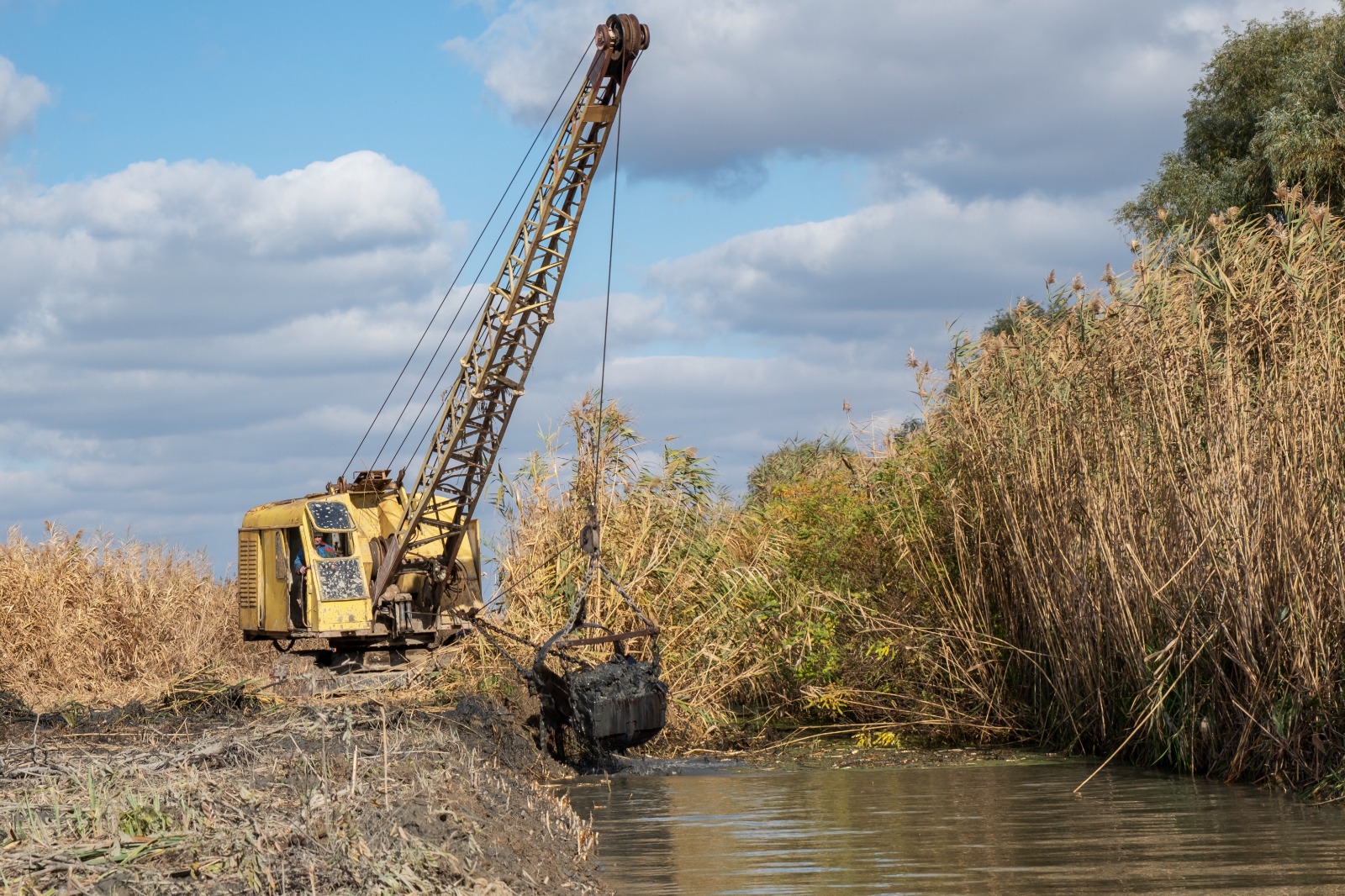 Yellow excavator with a long arm and bucket attachment, positioned on the edge of a water body. The excavator is dredging or clearing vegetation from the waterway, lifting a load of material from the water. The surrounding area is filled with tall reeds and other vegetation, indicating an environmental management or maintenance activity to keep the waterway clear. The sky is partly cloudy.