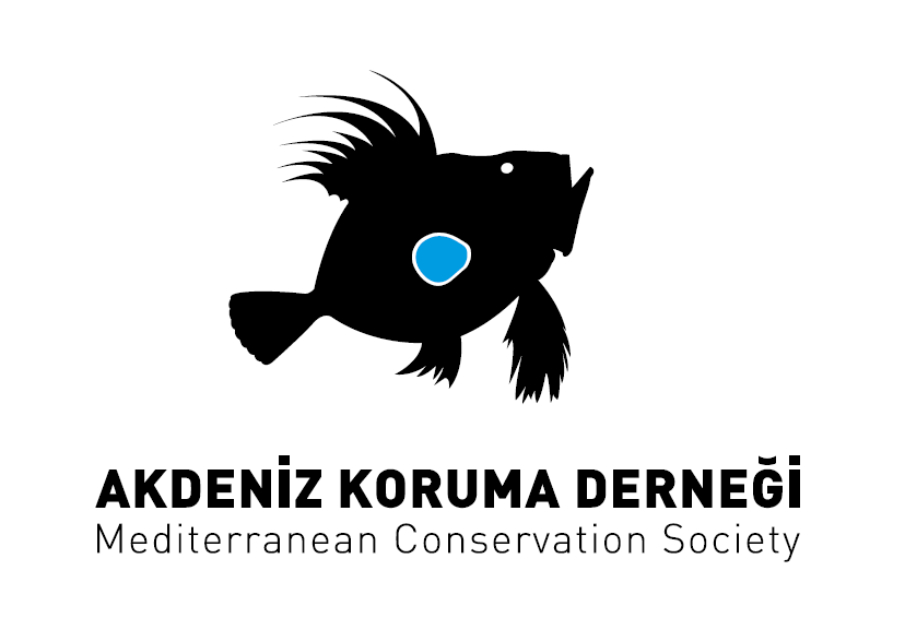 Mediterranean conservative society log