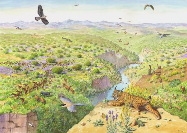 Greater Coa Valley, Portugal. Illustration of a vibrant rewilded landscape with diverse wildlife. It symbolises a balanced ecosystem and the richness of biodiversity in rewilding efforts. We can see mammals, birds and reptiles along with native vegetation in the rolling Portuguese hills