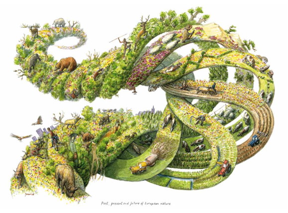 An intricate illustration depicts a continuous, looping landscape that transitions through various scenes of European nature. The image showcases diverse wildlife, including bears, deer, and birds, as well as human activities such as farming and construction. The landscape is lush with greenery and flowers in some areas while showing more developed regions with roads and machinery in others. The artwork highlights the past, present, and future of European nature.