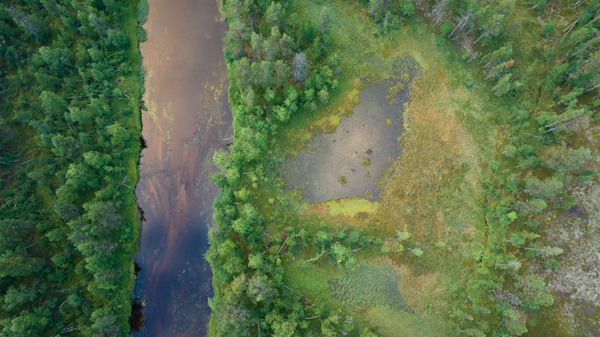 Aerial view of a lush green forest surrounding a winding river. The river, with its brownish hue, flows vertically through the center of the image. On the right side of the river, there is a patch of land with sparse vegetation and some open areas, contrasting with the dense forest on both sides. The landscape showcases a mix of vibrant green trees and various shades of green and brown in the open areas.