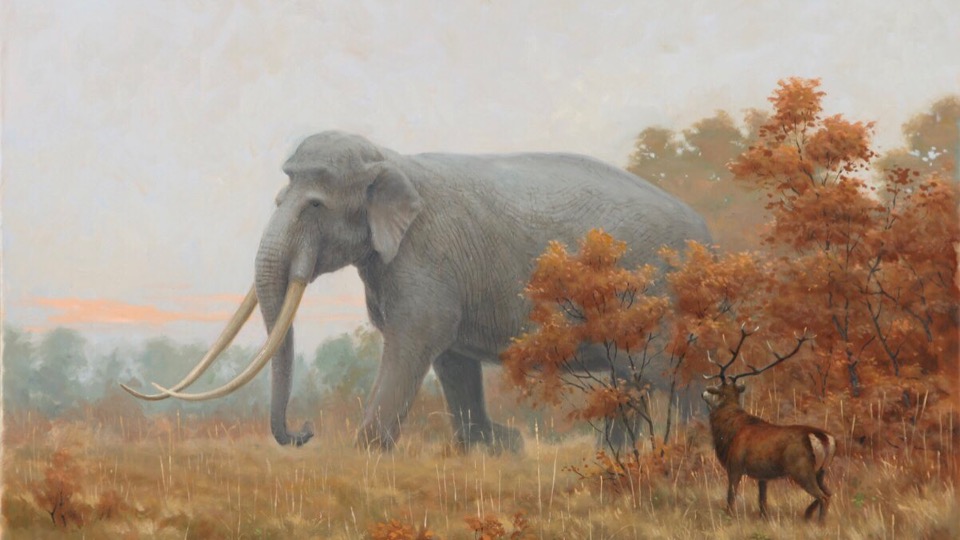 Image of a large straight-tusked elephant with long, curved tusks standing in a grassy area.To the right of the elephant, partially obscured by autumn-colored foliage, is a deer with antlers. The background shows more trees and bushes with orange and brown leaves, suggesting an autumn setting. The sky is overcast with hints of light breaking through the clouds near the horizon.