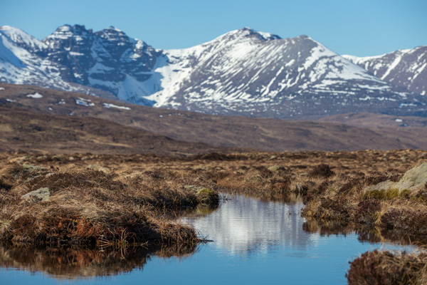 A scenic view of a peatland in the Scottish Highlands, featuring calm, reflective water surrounded by golden-brown grasses and moss. Snowy mountains rise in the background under a clear blue sky.