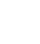 Councillor academy logo
