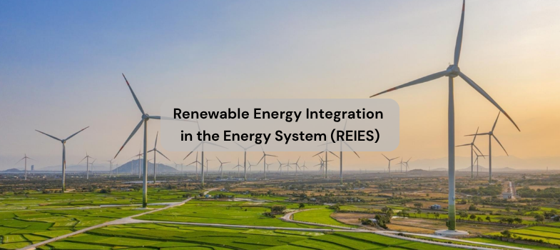 Renewable Energy Integration in the Energy System (REIES)