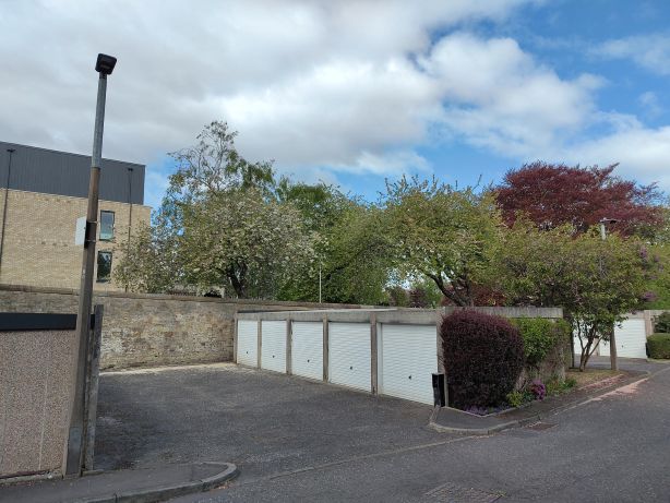 A row of 5 garages, each for one car. Behind them, a row of trees in a flowerbed