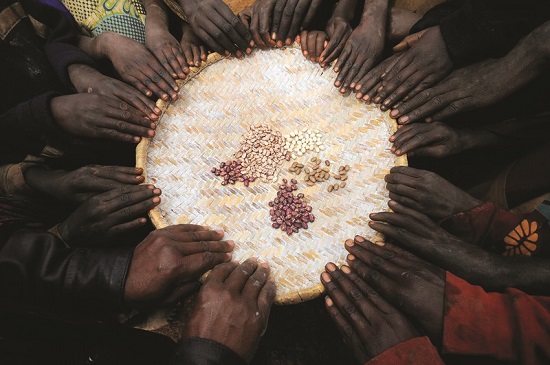 The image shows different varieties of climbing beans in a circular tray.