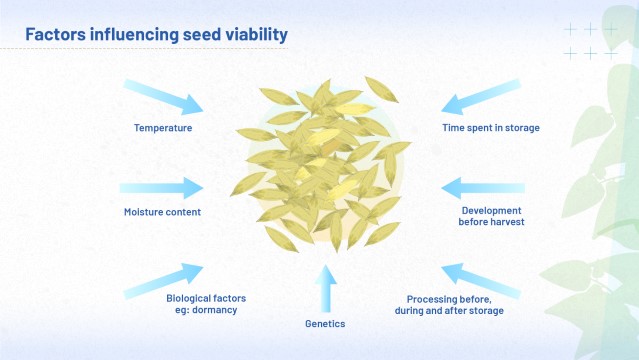 The image shows various factors that influence seed viability: temperature, moisture content, biological factors such as dormancy, genetics, time spent in storage, seed development before harvest and processing before, during or after storage.