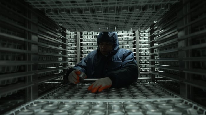 The image is a still from the video. It shows a technician accessing a sealed container of seeds in the base collection of the International Rice Research Institute. Check out the video transcript for more detailed video content.