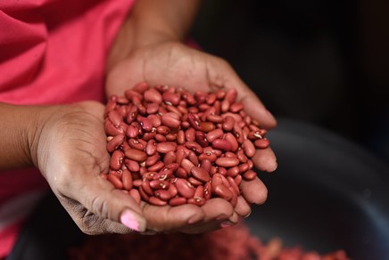 The image shows a handful of common beans at stall in South American market