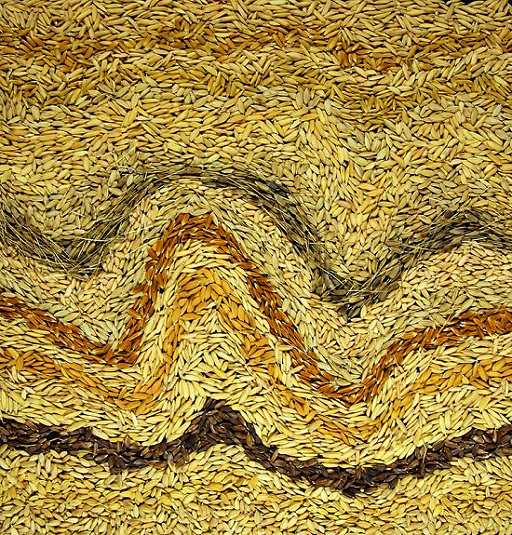 The image shows an artwork constructed of twenty varieties of rice in rows reflecting the landscapes where they are grown - from lowland paddies to sloping uplands. The rows of rice are very different in terms of colour and shape.